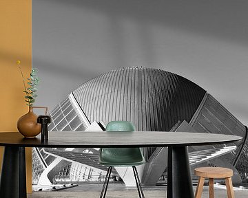 Palau des Artes in Valencia van Jan Radstake