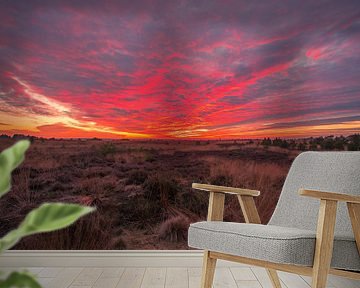 Zonsondergang National park Veluwe van Lisa Antoinette Photography