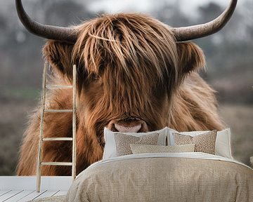 Schotse hooglander van Danielle de Graaf