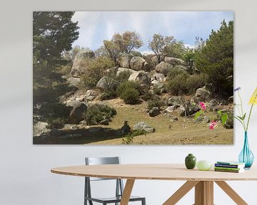 Landschap Australië