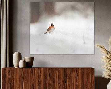 Keep in een met sneeuw bedekt landschap van Max van Gils