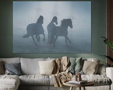 horses in the fog by Rene scheuneman