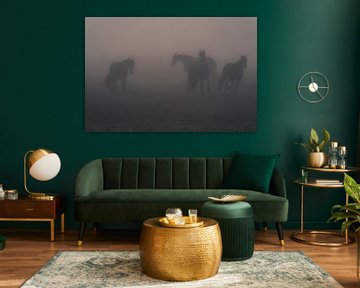 horses in the fog by Rene scheuneman