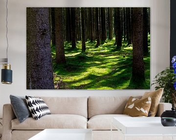 Schaduwrijk bos met mos van ManfredFotos