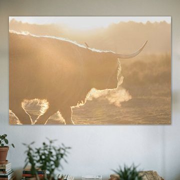 Schottischer Highlander