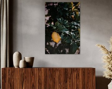 Moody botanische muur met citroen van Studio Seeker