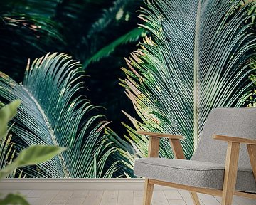 Green Palm Leaves by Patrycja Polechonska