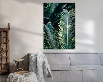 Green Palm Leaves by Patrycja Polechonska