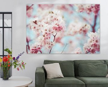 Pink Japanese cherry blossom with baby blue sky by Denise Tiggelman