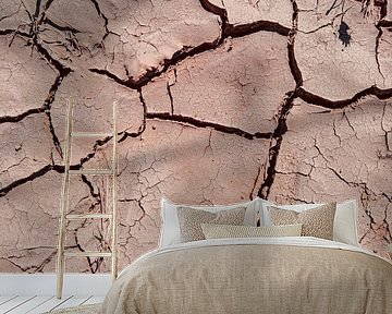 Risse in trockener Landschaft mit sanften Erdtönen