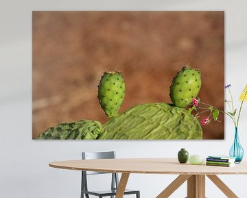 Stekelige peren in de zomer van Ulrike Leone