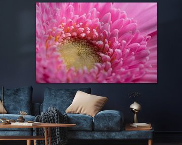 De roze Gerbera (macrofotografie) van Marjolijn van den Berg