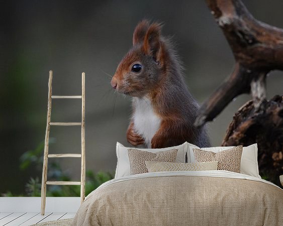 Voorbeeld van het werk in een kamer