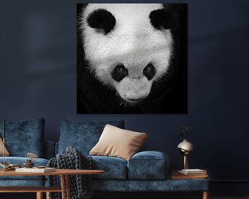 Zwart-wit portret van een panda beer van Chihong