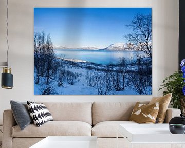 View of the fjord in the Atlantic Ocean with a snow field, trees and mountains near Tromso Norway by Leoniek van der Vliet