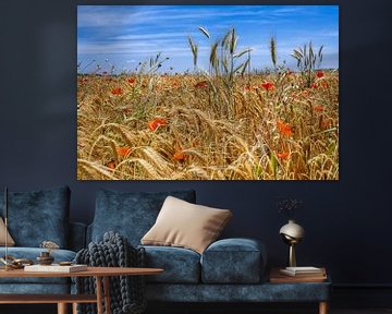 Poppies in cornfield by ManfredFotos