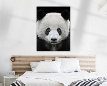 Portrait of a giant panda bear by Chihong