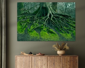 Wenn Bäume sprechen könnten (alte Wurzeln eines Baumes im grünen Moos) von Birgitte Bergman