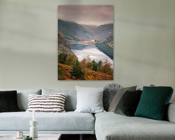 Lake in the forest in Ireland