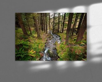 Rivier in het bos in Ierland van Sebastian Rollé - travel, nature & landscape photography