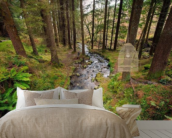 Aperçu de la chambre