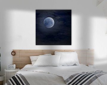Blue Moon van Alie Ekkelenkamp