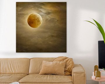 Over the Moon in Digital Art. Impressionisme. Wild Wonder Buzz. van Alie Ekkelenkamp