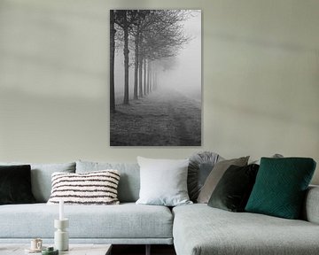 Arbres dans le brouillard sur Mariette Kranenburg