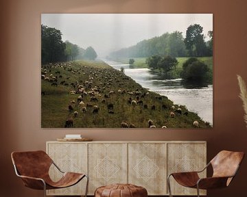 Schafe am Fluss von Ingo Laue