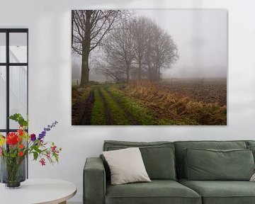 road in the fog
