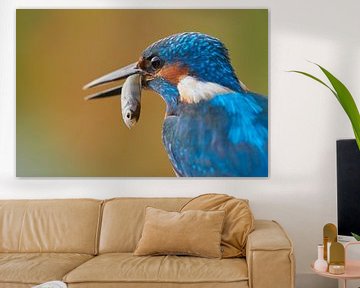 Kingfisher - Portrait with fish by Kingfisher.photo - Corné van Oosterhout