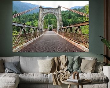 Alexandra bridge tussen de groene bergen van Canada van Daphne Dorrestijn
