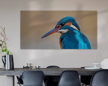 Kingfisher - Portrait by Kingfisher.photo - Corné van Oosterhout