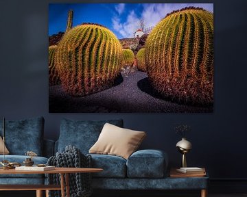 Molen tussen de cactussen van Dirk Keij-Bron
