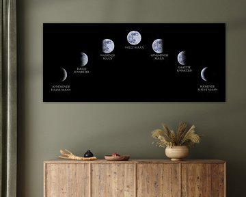 The Moon, the phases of the moon collected. by Gert Hilbink