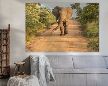 Running elephant by Marijke Arends-Meiring