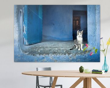 Kat in Chefchaouen, Marokko. van Paula Romein