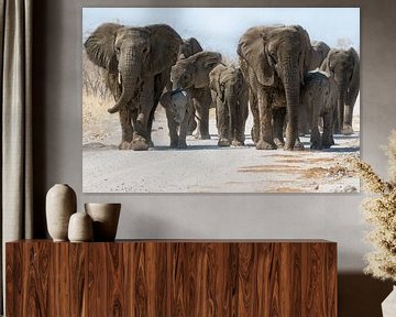 Elephants on the road by Jacco van Son