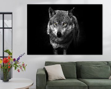 Wolf - uit het donker van Photo Art SD