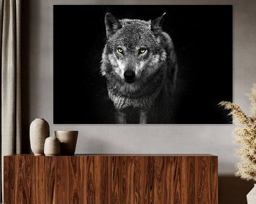Wolf - uit het donker van Sascha De