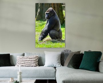 Gorilla Man van Photo Art SD