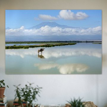 Gnus mit dem Kilimandscharo im Hintergrund