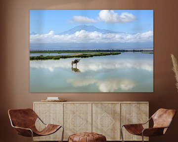 Wildebeest with Kilimanjaro in background by Richard Guijt Photography