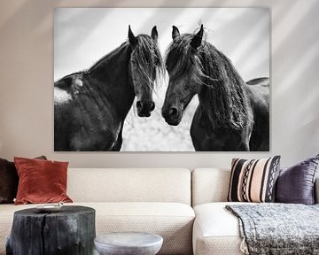 friese paarden van Herman Troost Artwork