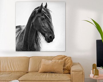 Fries paard van Herman Troost Artwork