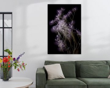 Kleine lila bloemen met zwarte achtergrond van Lisette Rijkers