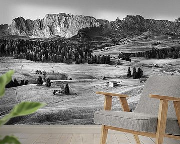 Seiser Alm in schwarz-weiß von Henk Meijer Photography