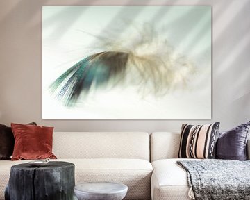 Feather soft by Greetje van Son