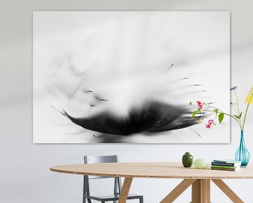 Feather soft 3 by Greetje van Son