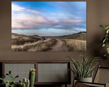 Landschapsfoto van de duinen in Den Helder van Davadero Foto